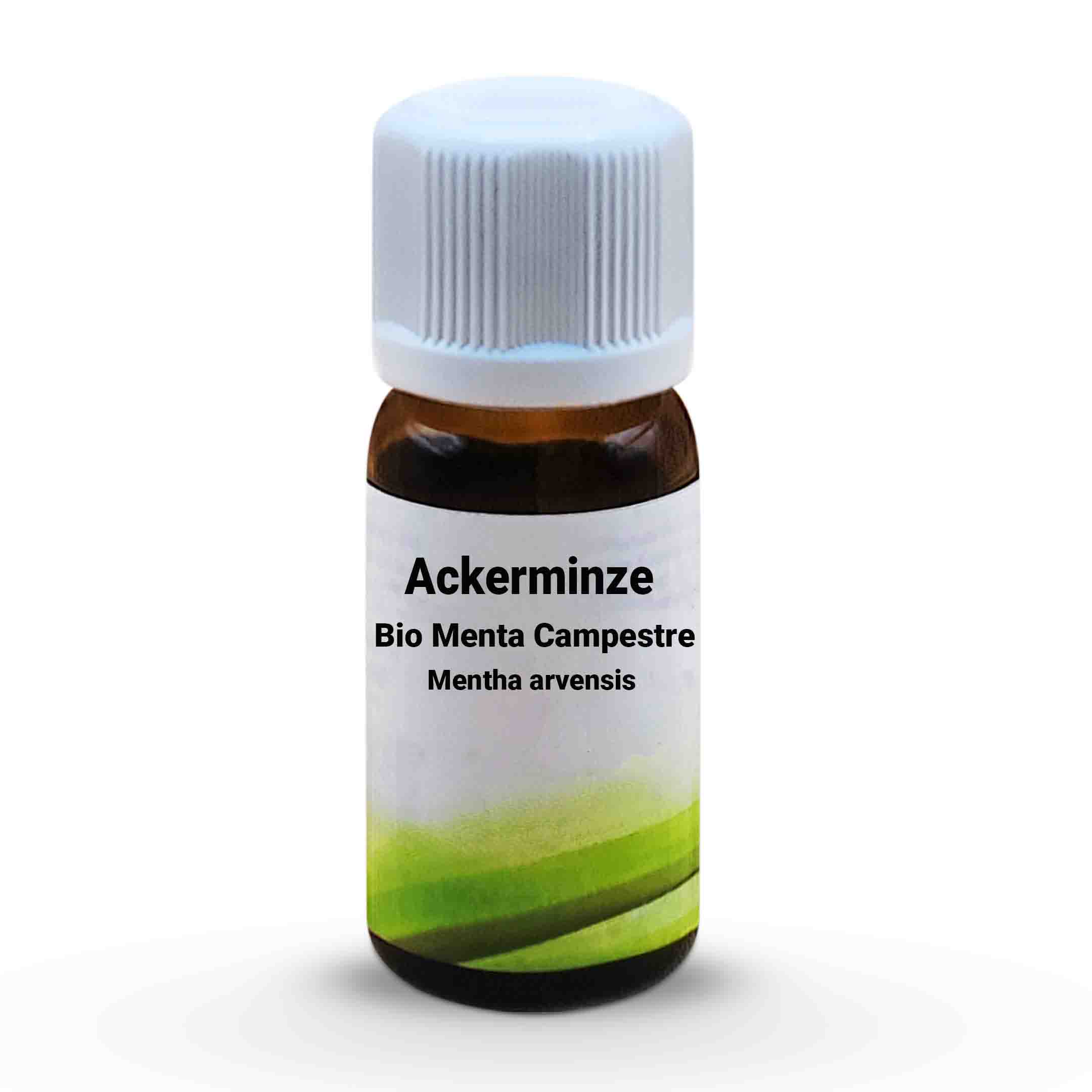 Ackerminze  Bio Menta Campestre - Mentha arvensis 10 ml