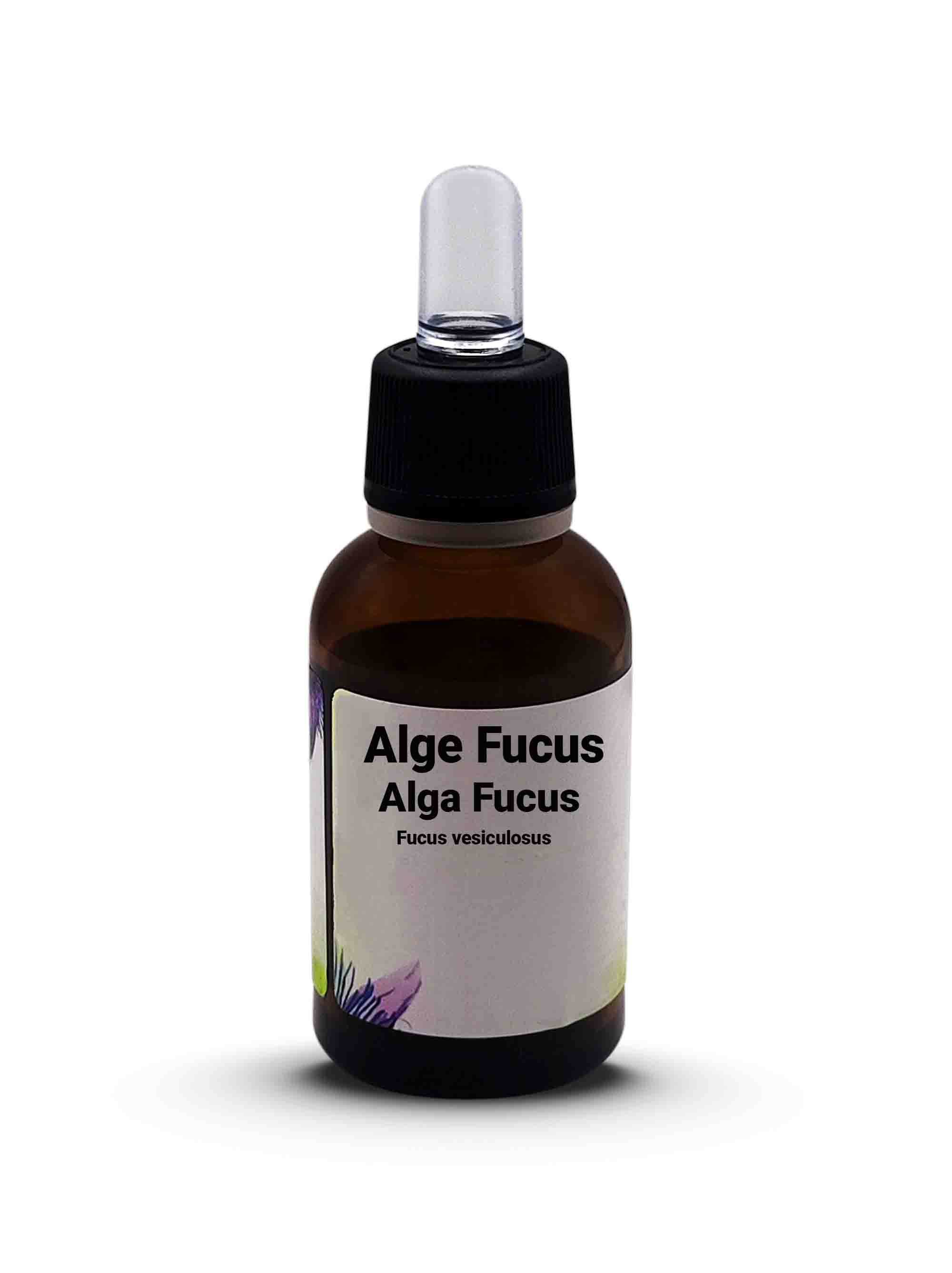 Alge Fucus Alga Fucus  Fucus vesiculosus L. 30 ml