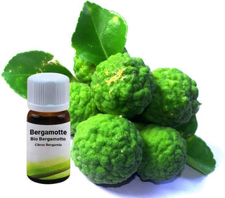 Citrus bergamia