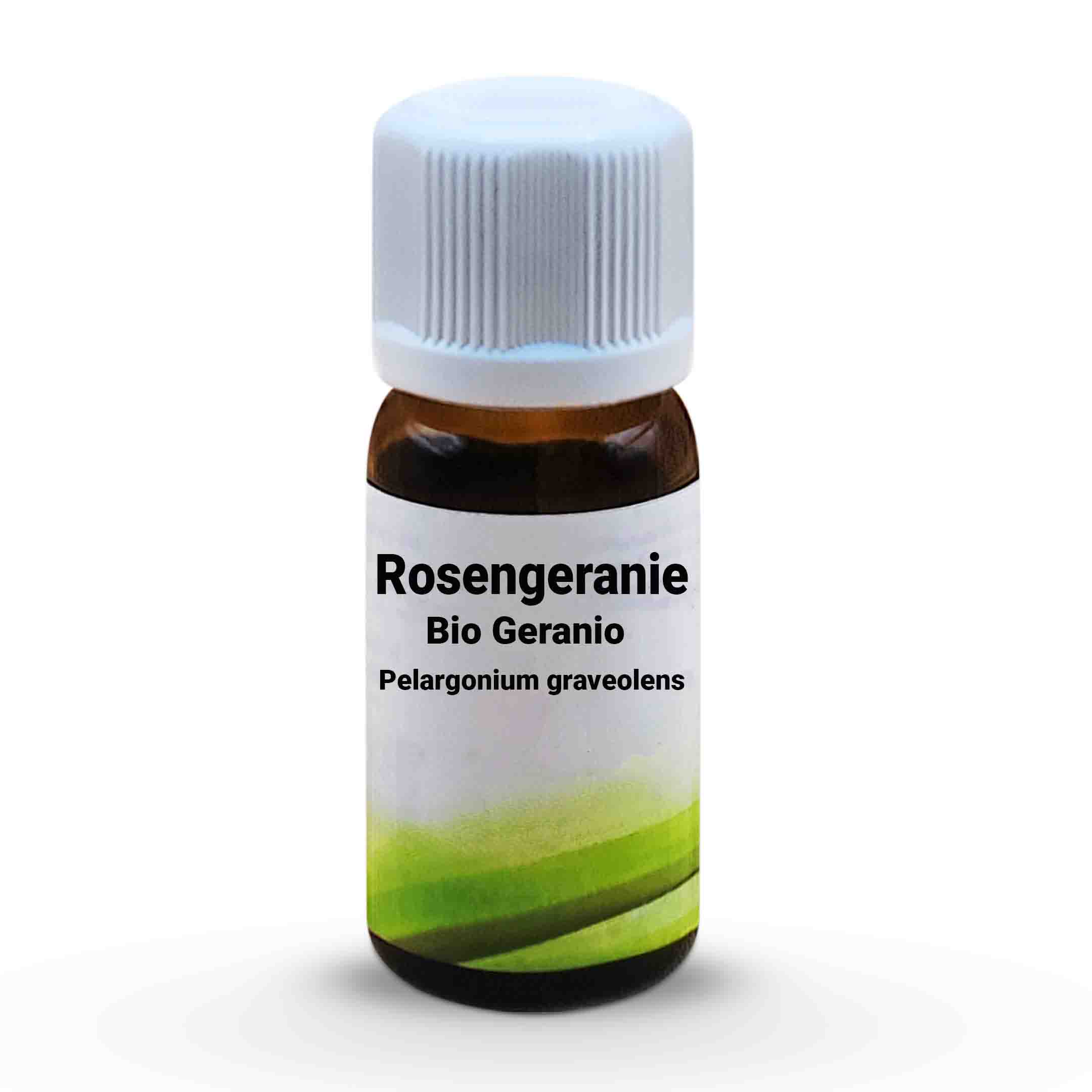 Bio Rosengeranie  Geranio   Pelargonium graveolens