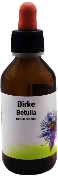 Birke  Betulla - Betula pendula  100 ml