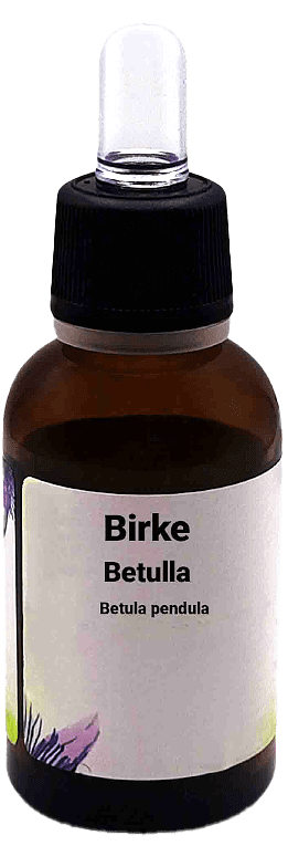 Birke  Betulla - Betula pendula  30 ml