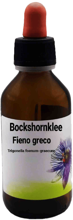 Bockshornklee  Trigonella foenum-graecum  100 ml