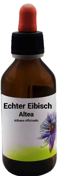 Echter Eibisch - Altea - Althaea officinalis 100 ml