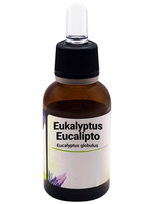 Una bottiglia di estratto liquido di Eucalipto (Eucalyptus globulus) con contagocce nero e etichetta in italiano che indica "Eukalyptus Eucalipto Eucalyptus globulus." La bottiglia è marrone scuro e l'etichetta è decorata con illustrazioni floreali.