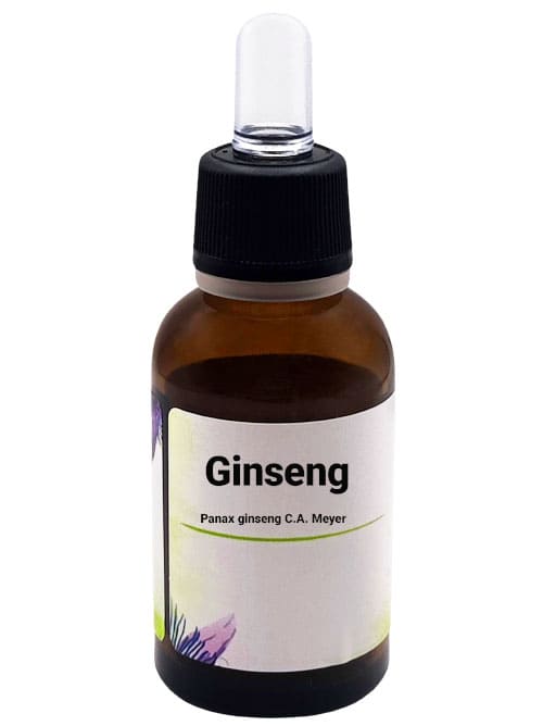 Una bottiglia di estratto liquido di Ginseng (Panax ginseng C.A. Meyer) con contagocce nero e etichetta in italiano che indica "Ginseng Panax ginseng C.A. Meyer". La bottiglia è marrone scuro e l'etichetta è decorata con illustrazioni floreali.