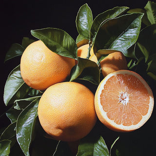 Frutti di Citrus grandis (pompelmo) con buccia arancione e polpa succosa, utilizzati in cucina e per estrarre oli essenziali.