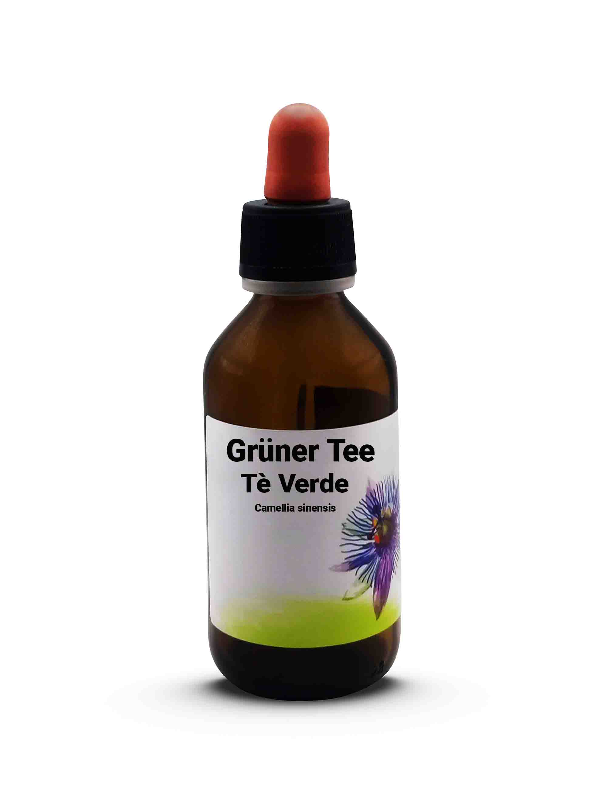 Grüner Tee - Camellia sinensis Tè Verde 100 ml