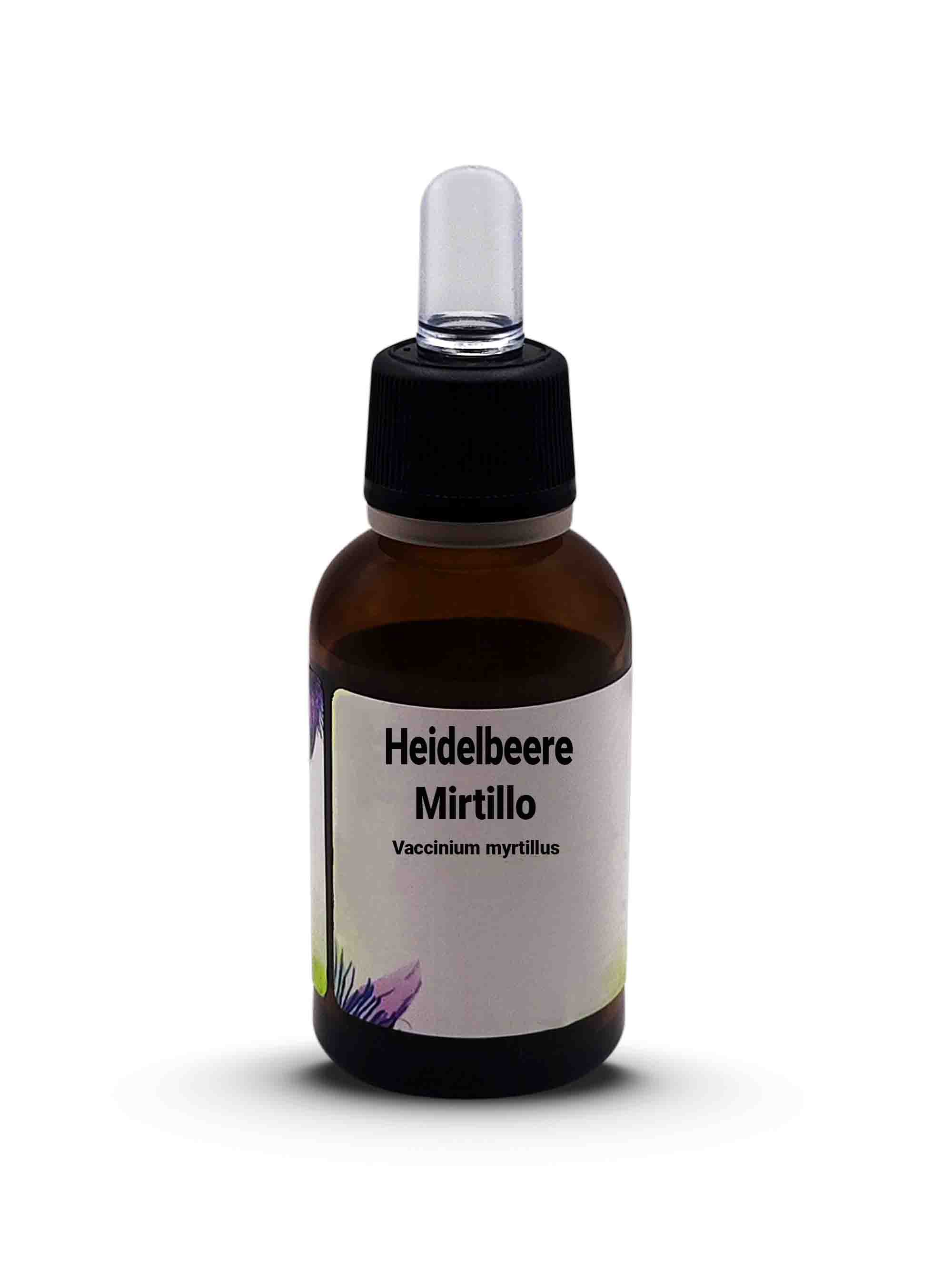 Heidelbeer Vaccinium myrtillus Mirtillo 30 ml