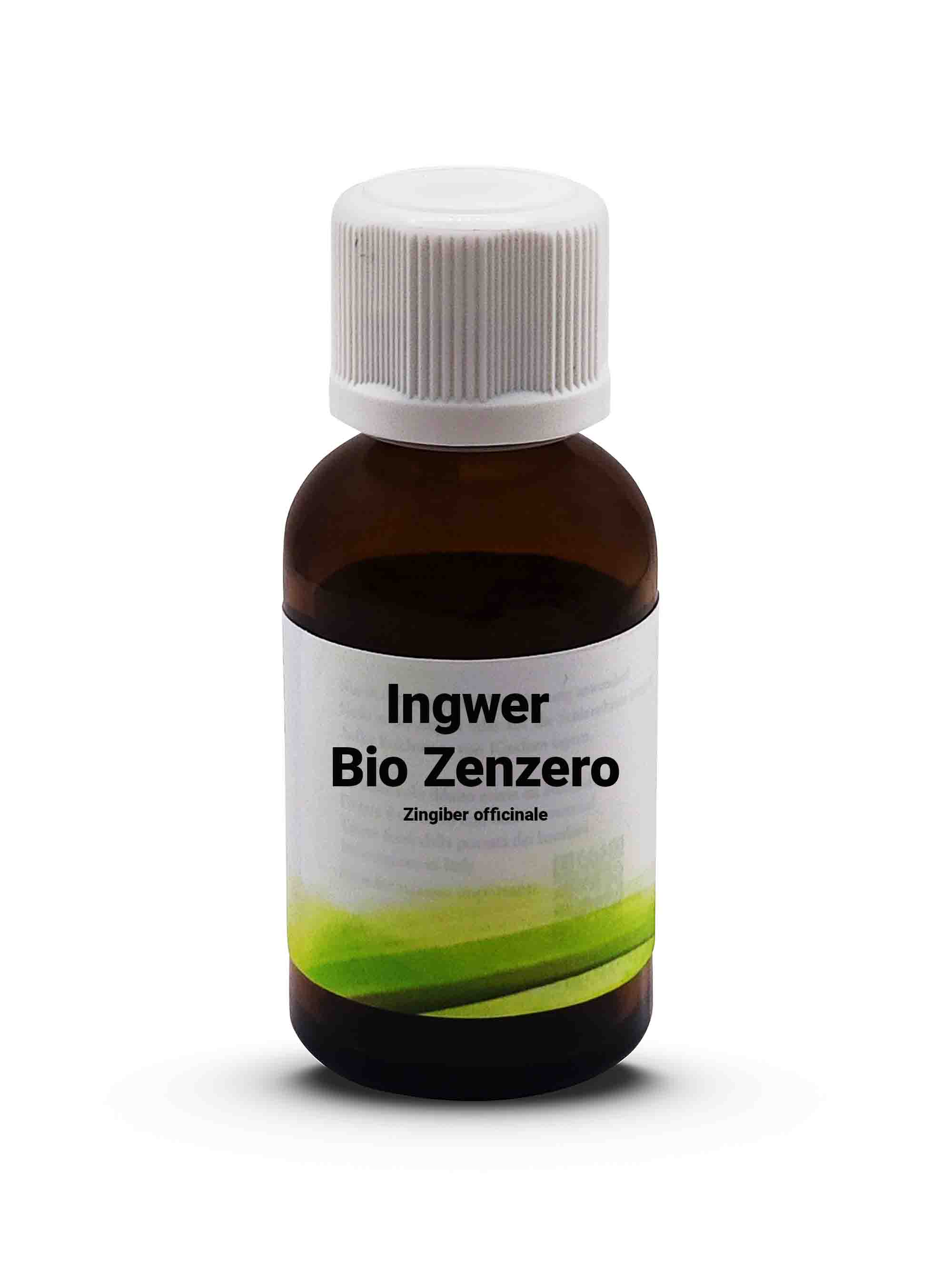 Ingwer Zenzero Bio Zingiber officinale 30 ml