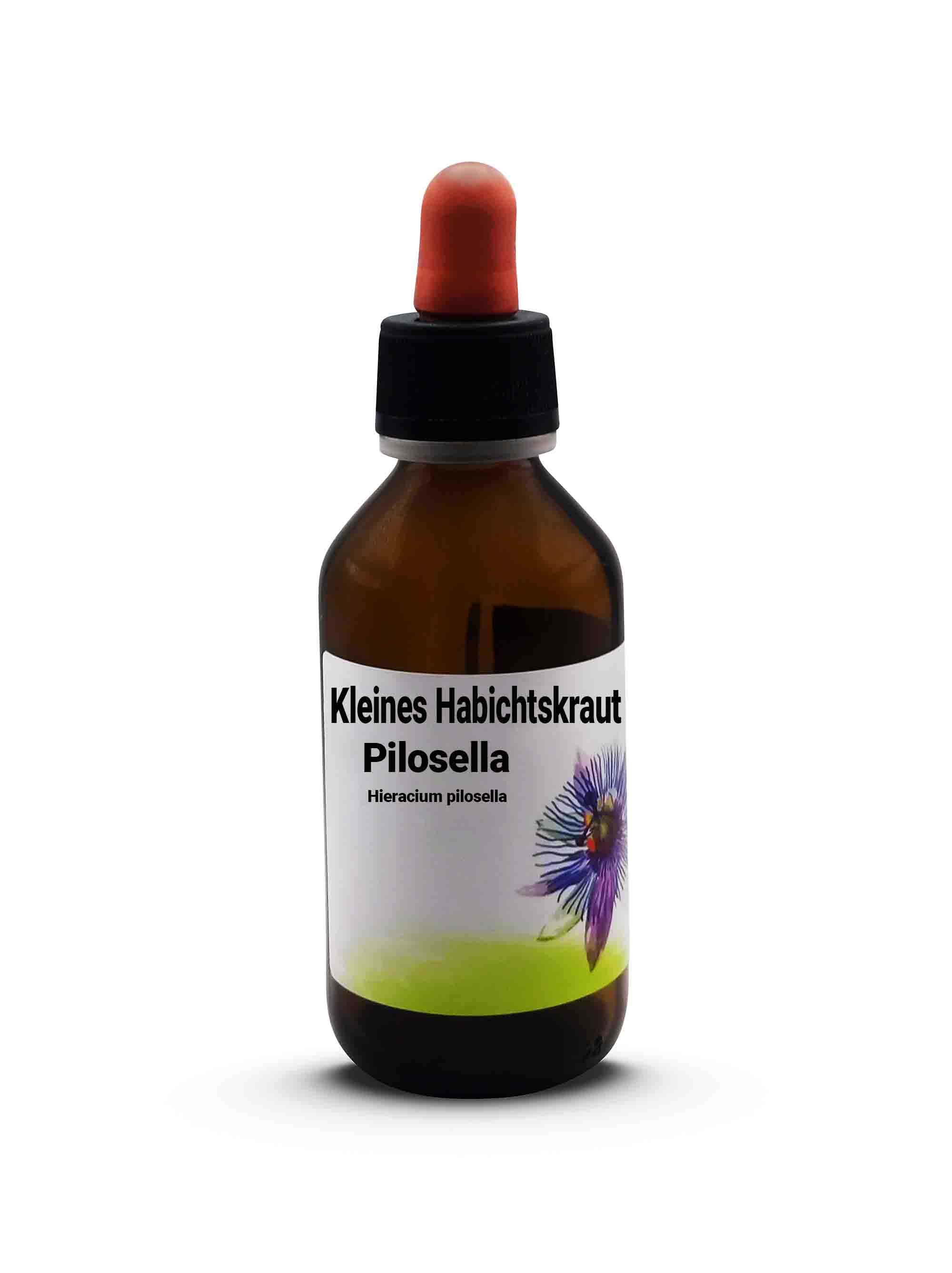 Kleines Habichtskraut Pilosella  Hieracium pilosella 100 ml