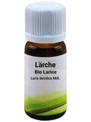 Bottiglia da 10 ml di Olio Essenziale di Larice, su sfondo bianco.