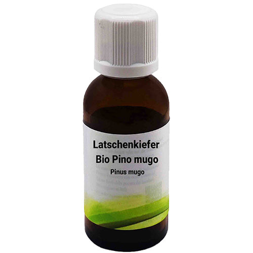 Una bottiglietta di vetro marrone con tappo a vite bianco, etichettata con "Bio Pino mugo (Südtirol - Alto Adige) - Pinus mugo 30 ml". L'etichetta mostra un design minimalista verde.