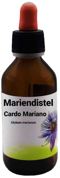 Mariendistel  Cardo Mariano - Silybum marianum L. 100 ml