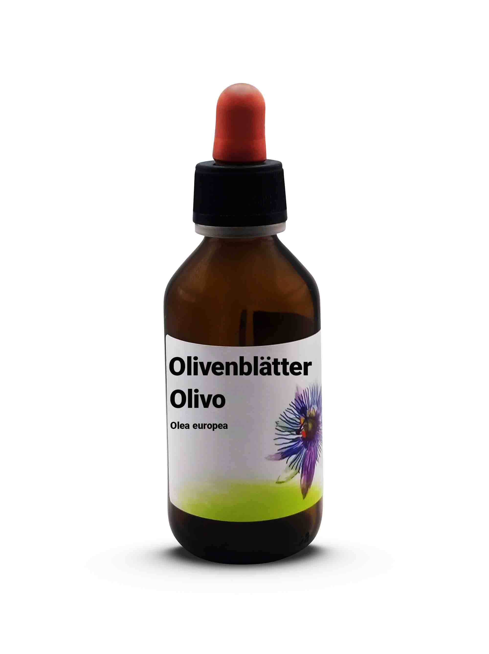 Olivenblätter Olivo - Olea europea 100 ml