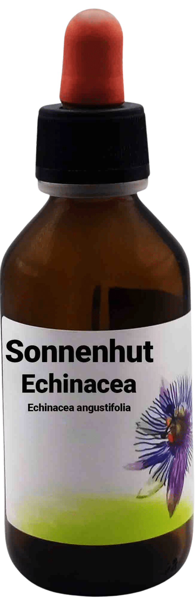 Sonnenhut_Echinacea_Echinacea_angustifolia_100_ml