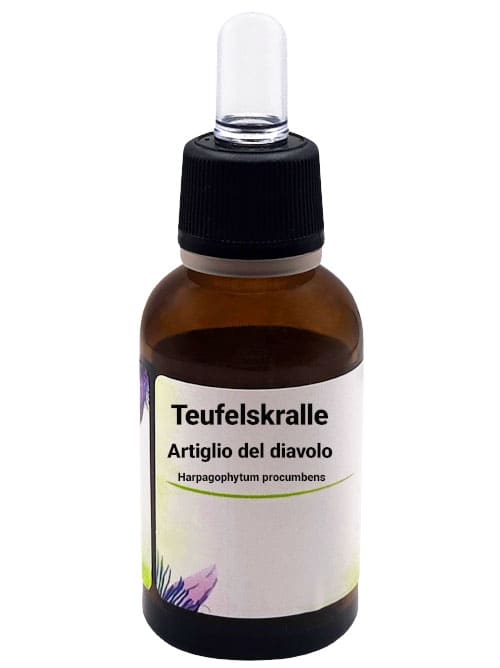 30 ml Flacone con estratto di artiglio del diavolo Teufelskralle (Harpagophytum procumbens).