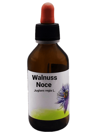 Walnussöl Bio Olio di noce  Juglans Regia seed oil