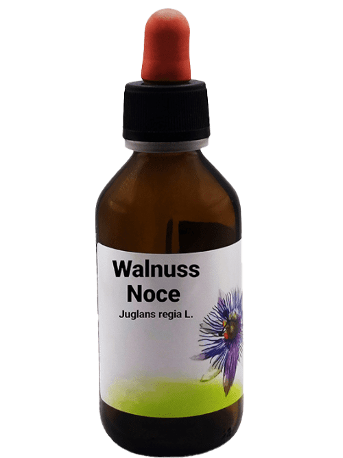 Walnussöl Bio Olio di noce  Juglans Regia seed oil