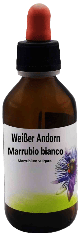 Weißer Andorn Marrubio bianco Marrubium vulgare 100 ml