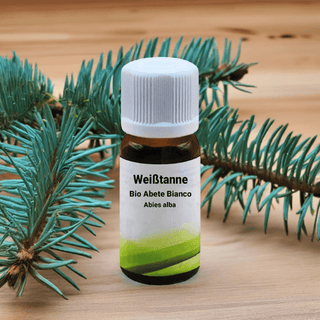 Bio Abete Bianco - Abies alba - Bio des Gstrein Patrick