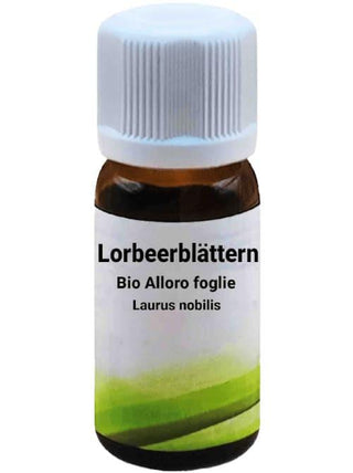 Bio Alloro foglie biologico - Laurus nobilis L. - Bio des Gstrein Patrick