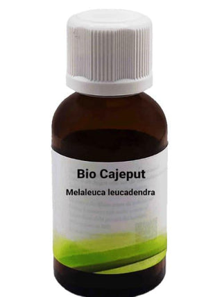 Bio Cajeput - Melaleuca leucadendra - Bio des Gstrein Patrick