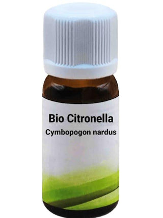 Bio Citronella - Cymbopogon nardus - Bio des Gstrein Patrick