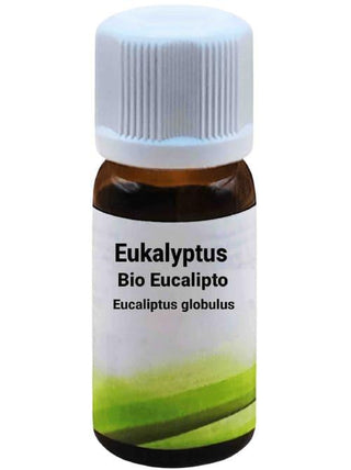 Bio Eucalipto - Eucaliptus globulus - Bio des Gstrein Patrick