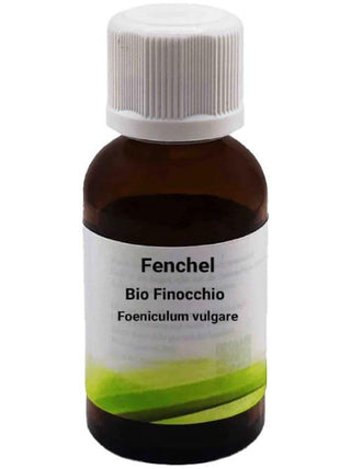 Bio Finocchio Foeniculum vulgare - Bio des Gstrein Patrick