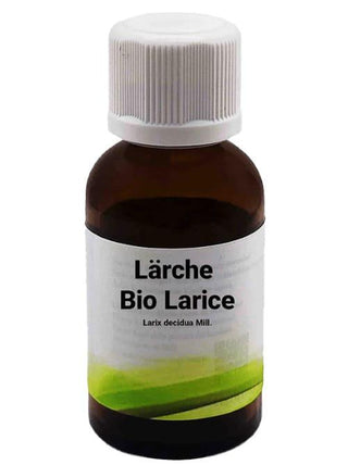 Bio Larice - Larix decidua Mill. - Bio des Gstrein Patrick