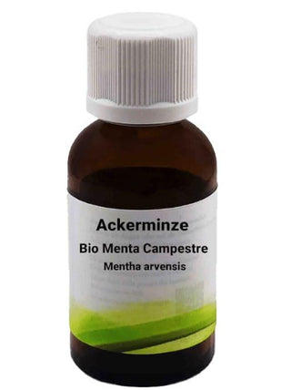 Bio Menta Campestre - Mentha arvensis - Bio des Gstrein Patrick