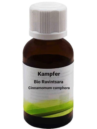 Bio Ravintsara - Cinnamomum camphora - Bio des Gstrein Patrick