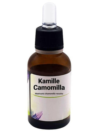 Camomilla - Matricaria chamomilla recutita L. - Bio des Gstrein Patrick