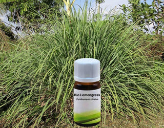 lemongrass