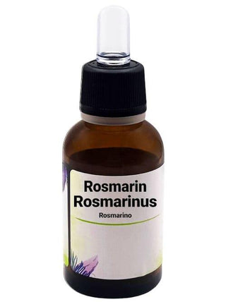 Rosmarino - Rosmarinus officinalis - Bio des Gstrein Patrick