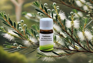 Set di Oli Essenziali Biologici: Eucalipto, Tea Tree, Lavanda vera - Bio des Gstrein Patrick