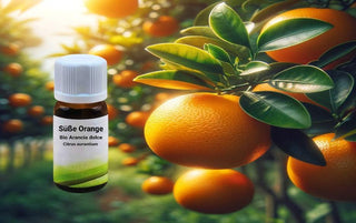 Trio Citrus: Set di Oli Essenziali Biologici – Limone, Arancia, Mandarino - Bio des Gstrein Patrick