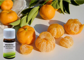 Trio Citrus: Set di Oli Essenziali Biologici – Limone, Arancia, Mandarino - Bio des Gstrein Patrick