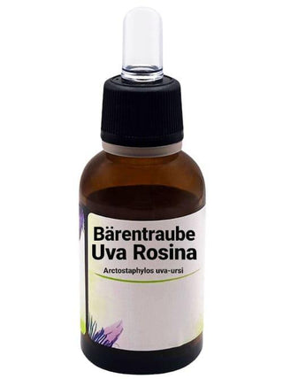 Uva Rosina - Arctostaphylos uva - ursi - Bio des Gstrein Patrick